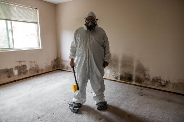 Best Mold Testing  in Lynden, WA